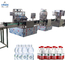 Petits PCs /Hour de la machine de remplissage de l'eau minérale 1000-2000 pour l'ANIMAL FAMILIER, bouteille en verre fournisseur