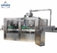 Machine de remplissage carbonatée automatique de boisson/machine de remplissage liquide pour la bouteille d'ANIMAL FAMILIER fournisseur